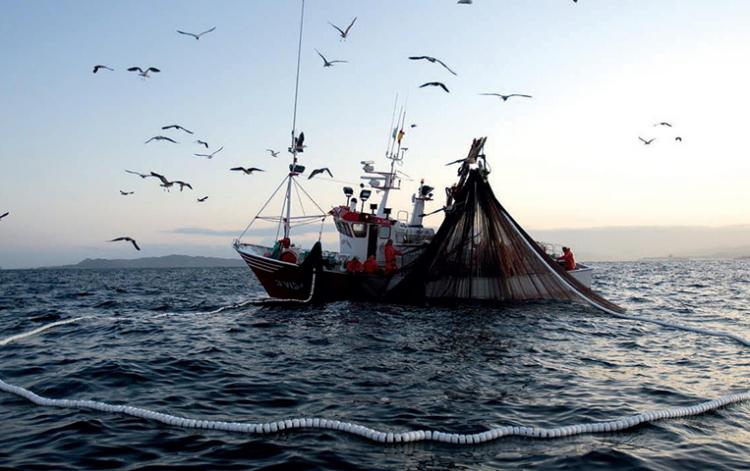 Empresários ameaçam abandonar peixe no mar
