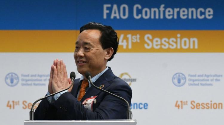 Chinês Qu Dongyu eleito director-geral da FAO