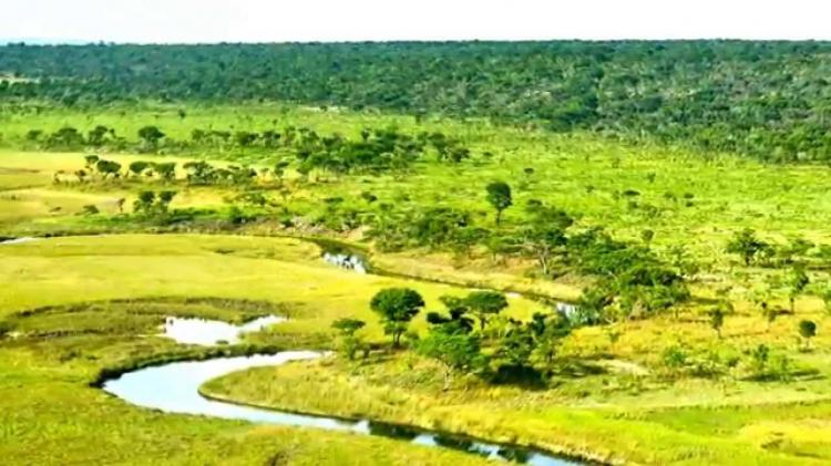 Governo investe 60 milhões na remoção de minas na bacia do Okavango