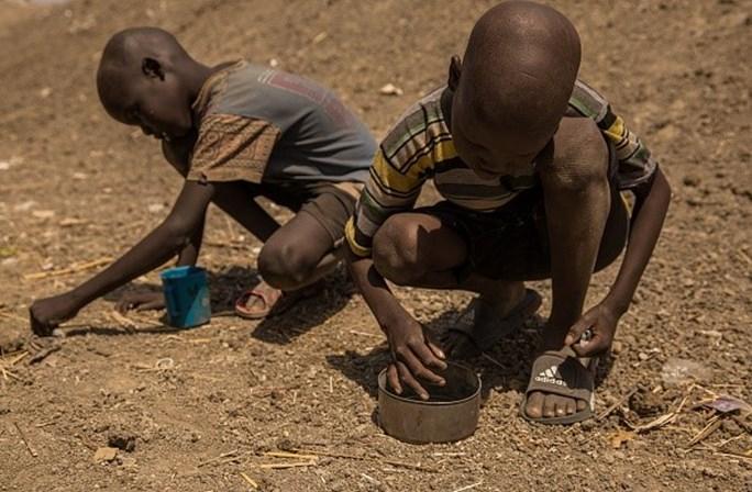 Fome severa põe em risco sete milhões de pessoas