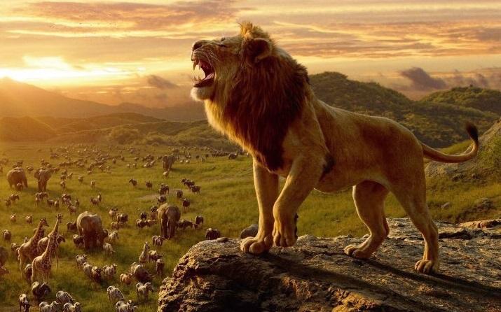 ‘Rei Leão’ estreia-se em nova versão 