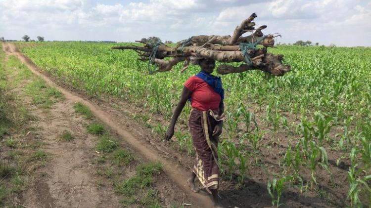 Moçambique nos dez países que mais ajudam os agricultores