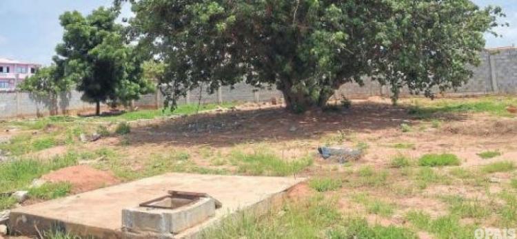 Duas vizinhas mortas e colocadas na fossa