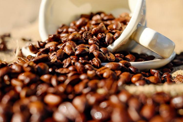 Novagrolider investe mais de 800 mil USD para processar café