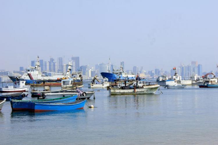 Peixes na Baía de Luanda morreram por asfixia