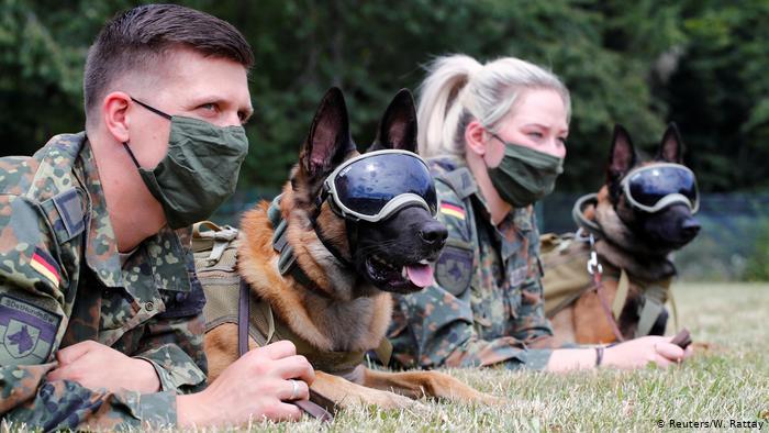 Namíbia vai utilizar cães para detectar covid-19